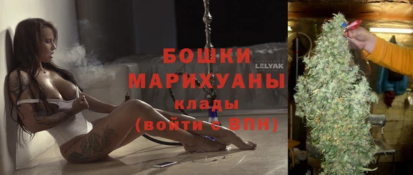 не бодяженный Новозыбков