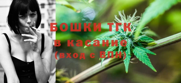 не бодяженный Новозыбков