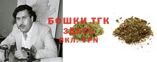 молекула духа Новокубанск