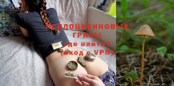 бошки Новодвинск
