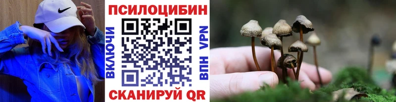 кракен рабочий сайт  цены   Кириллов  Галлюциногенные грибы Psilocybine cubensis 
